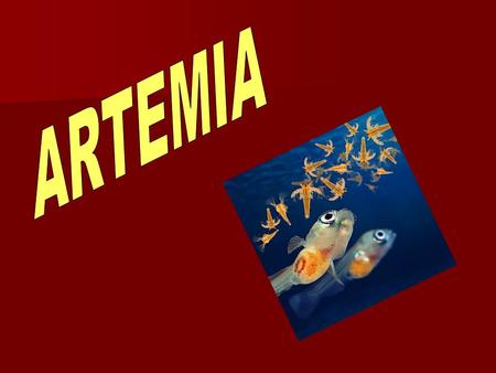 ARTEMIA.