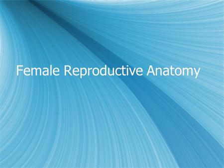 Female Reproductive Anatomy. What is the menstruation cycle? “Period” Monthly bleeding that most healthy women of reproductive age experience Menstrual.