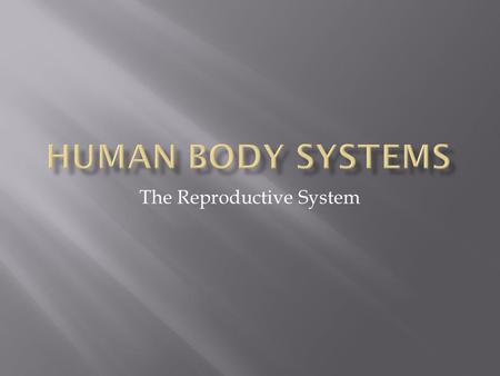 The Reproductive System