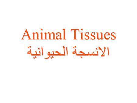 Animal Tissues الانسجة الحيوانية