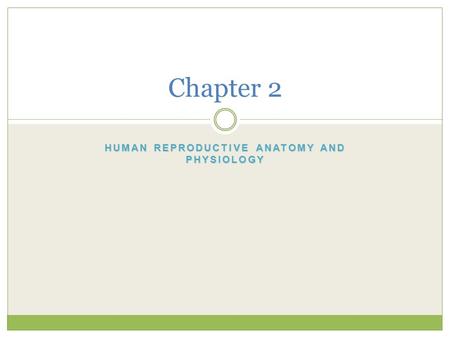 Human Reproductive Anatomy and Physiology