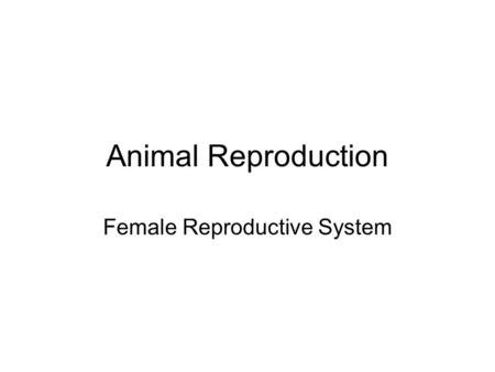 Female Reproductive System