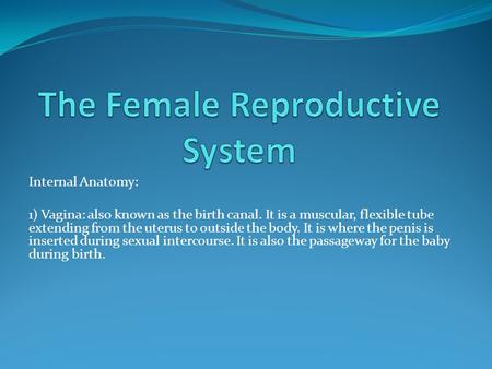 Internal Anatomy: 1) Vagina: also known as the birth canal. It is a muscular, flexible tube extending from the uterus to outside the body. It is where.