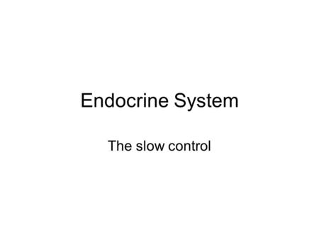 Endocrine System The slow control.