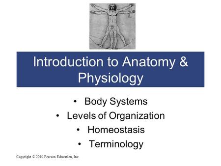 Introduction to Anatomy & Physiology