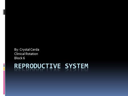 By: Crystal Cerda Clinical Rotation Block 6. Objective  Describe the functions of both male and female.  Note taking  Fill in the blank diagram  Test.