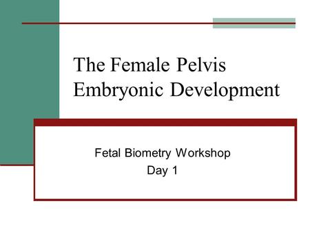 The Female Pelvis Embryonic Development Fetal Biometry Workshop Day 1.