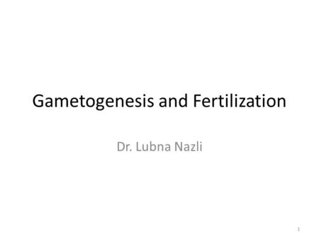 Gametogenesis and Fertilization