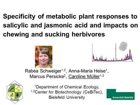 Rabea Schweiger 1,2, Anna-Maria Heise 1, Marcus Persicke 2, Caroline Müller 1,2 1 Department of Chemical Ecology, 1,2 Center for Biotechnology (CeBiTec),