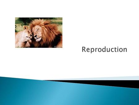 Reproduction.