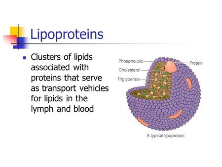 Lipoproteins Clusters of lipids associated with proteins that serve as transport vehicles for lipids in the lymph and blood.