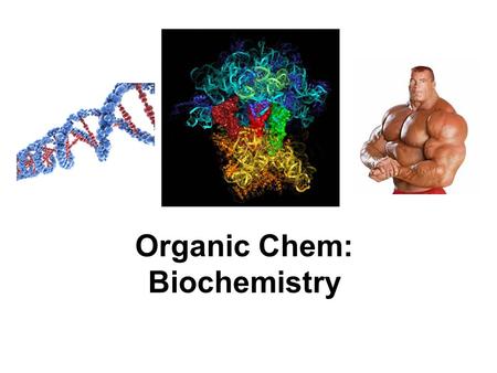 Organic Chem: Biochemistry. Biochemistry Study of chem of living organisms Most: large, complex molecules complex molecules: biopolymers  smaller, simpler.