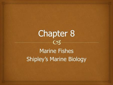 Marine Fishes Shipley’s Marine Biology.  Classification of Fishes.