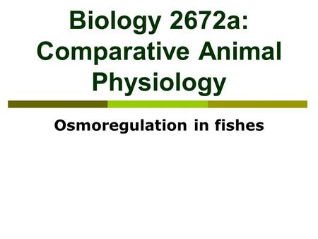 Biology 2672a: Comparative Animal Physiology