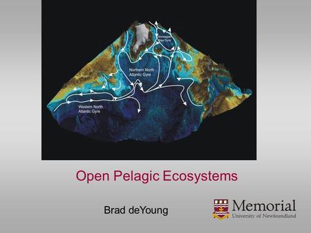 Brad deYoung Open Pelagic Ecosystems. Roadmap  Ecosystem structure – considerations of the issues and how to think about them  Regime shifts in the.