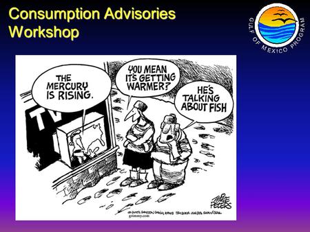 Consumption Advisories Workshop. Management Committee Charge – May, 2002 MC recommends that the GMPO form a Project Team on consumption advisories for.