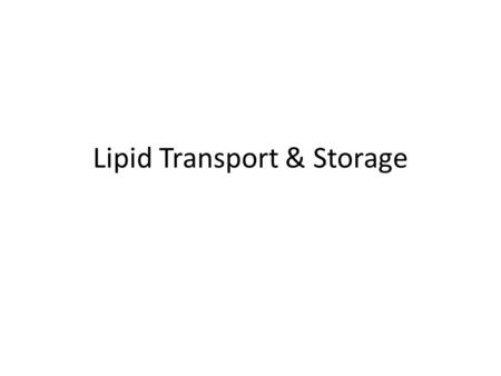 Lipid Transport & Storage