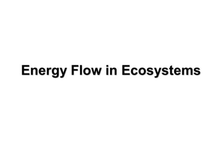 Energy Flow in Ecosystems