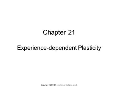 Chapter 21 Experience-dependent Plasticity Copyright © 2014 Elsevier Inc. All rights reserved.