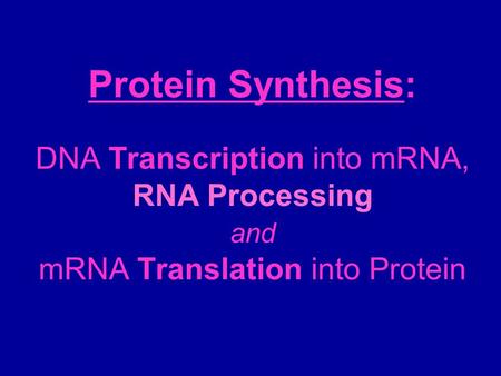 How does DNA work? What is a gene?