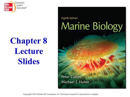 Chapter 8 Lecture Slides