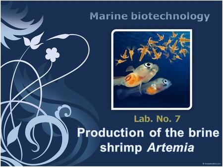 Lab. No. 7 Production of the brine shrimp Artemia