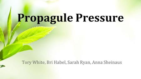 Propagule Pressure Tory White, Bri Habel, Sarah Ryan, Anna Sheinaus.