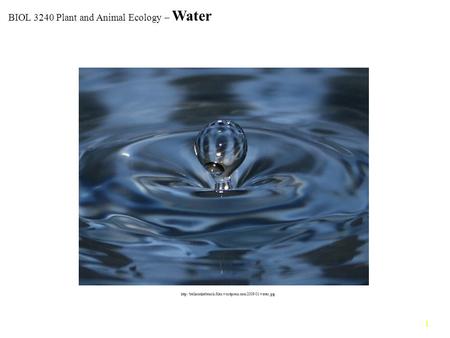 1  BIOL 3240 Plant and Animal Ecology – Water.