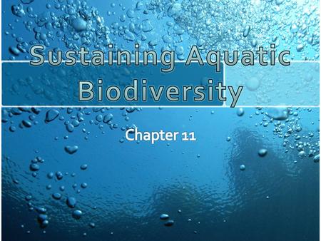 Sustaining Aquatic Biodiversity