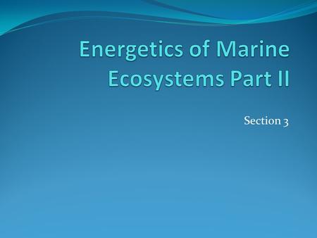 Energetics of Marine Ecosystems Part II