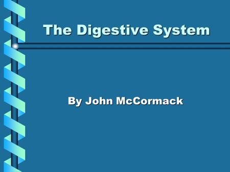 The Digestive System By John McCormack Did someone say Quiz? What is important? What are the processes and functions of the organs? Who knows what else.