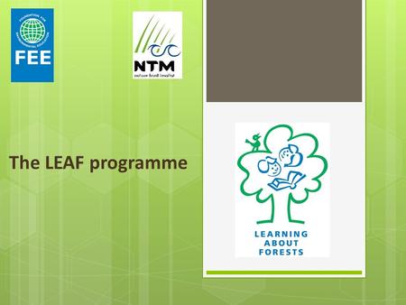 The LEAF programme. Forest land cover. - Aleppo Pine and Holm Oak trees used to be the most dominant tree species. - 4 pockets of old forest remnants.