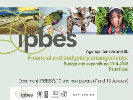 Agenda item 6a and 6b Financial and budgetary arrangements: Budget and expenditure 2014-2018 Trust Fund Document IPBES/3/10 and non papers (7 and 13 January)