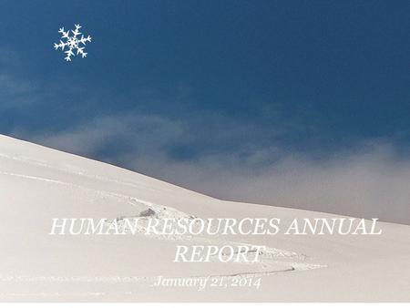 HUMAN RESOURCES ANNUAL REPORT January 21, 2014. Human Resources Recruitment & Retention Hiring Entry Interview Exit Interview Retirement Planning Orientation.