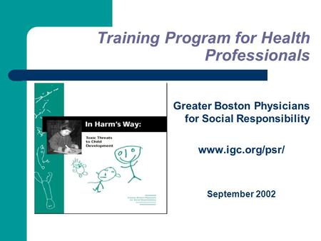 Training Program for Health Professionals Greater Boston Physicians for Social Responsibility www.igc.org/psr/ September 2002.