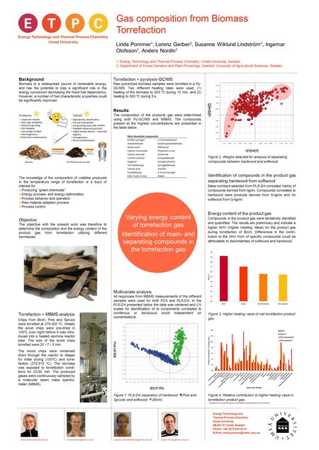Gas composition from Biomass Torrefaction Linda Pommer 1, Lorenz Gerber 2, Susanne Wiklund Lindström 1, Ingemar Olofsson 1, Anders Nordin 1 1: Energy Technology.