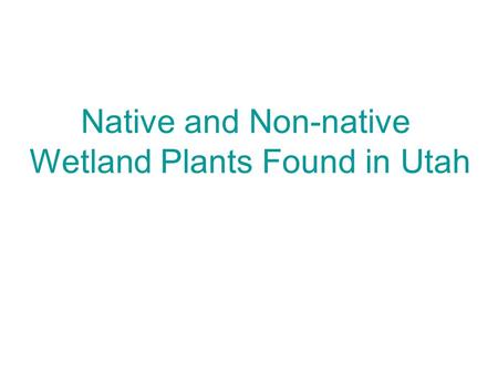 Native and Non-native Wetland Plants Found in Utah.