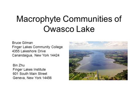 Macrophyte Communities of Owasco Lake Bin Zhu Finger Lakes Institute 601 South Main Street Geneva, New York 14456 Bruce Gilman Finger Lakes Community College.