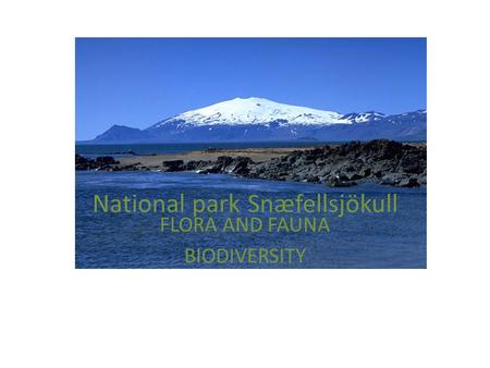 National park Snæfellsjökull