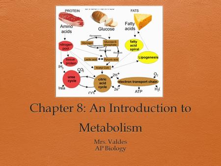 Chapter 8: An Introduction to Metabolism