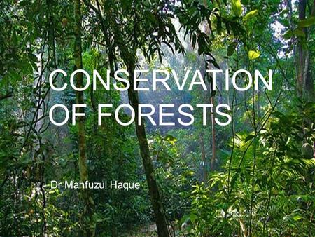 CONSERVATION OF FORESTS