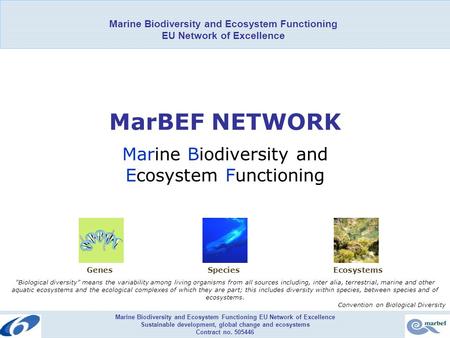 Marine Biodiversity and Ecosystem Functioning EU Network of Excellence Sustainable development, global change and ecosystems Contract no. 505446 MarBEF.