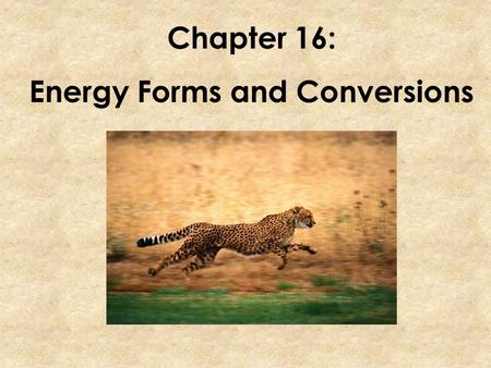 Energy Forms and Conversions