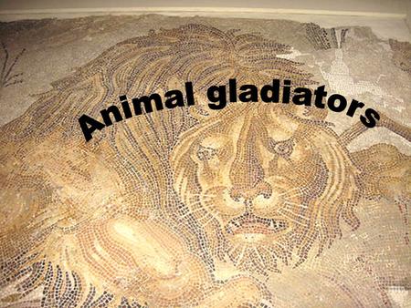 Who fought against the animals How the animals were imported How the animal gladiators were armed When the colsseum was built Why it was built How they.