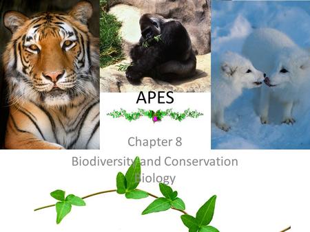 Chapter 8 Biodiversity and Conservation Biology