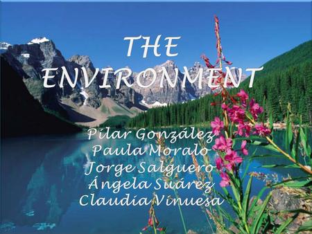 THE ENVIRONMENT Pilar González Paula Moralo Jorge Salguero