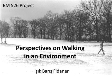 Perspectives on Walking in an Environment Işık Barış Fidaner BM 526 Project.