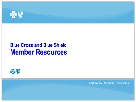 Blue Cross and Blue Shield Member Resources. | Experience. Wellness. Everywhere.| 2March 2009 Visit  to log in or register for Blue.