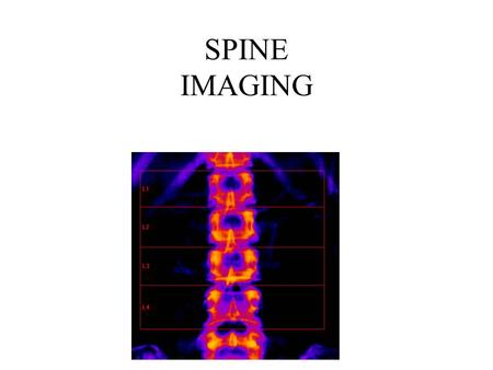 SPINE IMAGING.