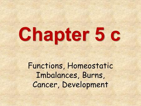 Functions, Homeostatic Imbalances, Burns, Cancer, Development